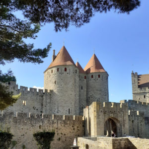 Jane Heyes Art Peintre Carcassonne Artist Autumn inspiration Castle