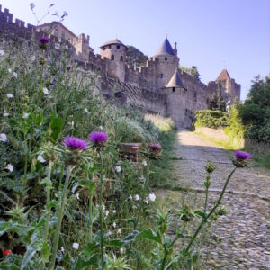 Jane Heyes Art Peintre Carcassonne Artist Spring inspiration